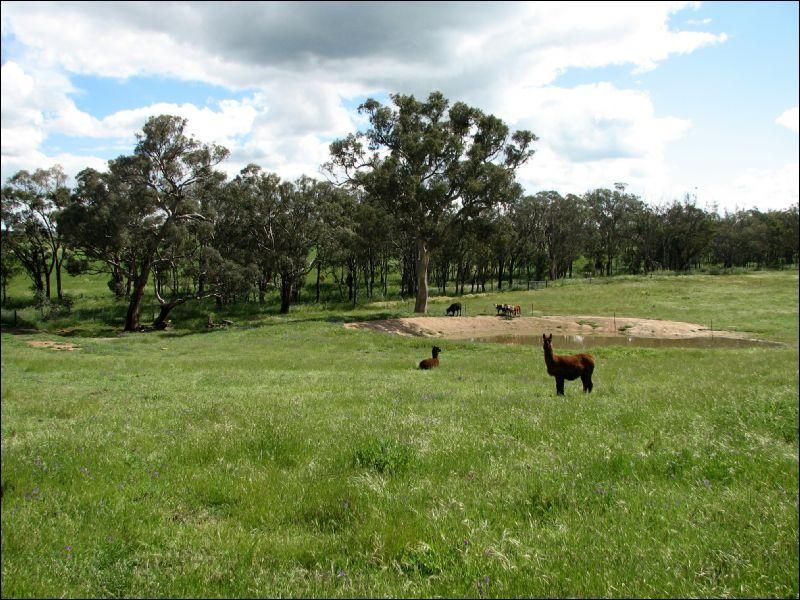 MURRINGO NSW 2586, Image 0