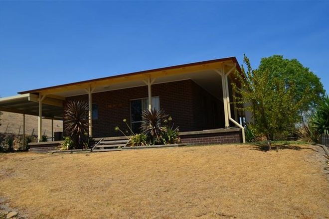 Picture of 233 Nimbo Road, BRUNGLE NSW 2722