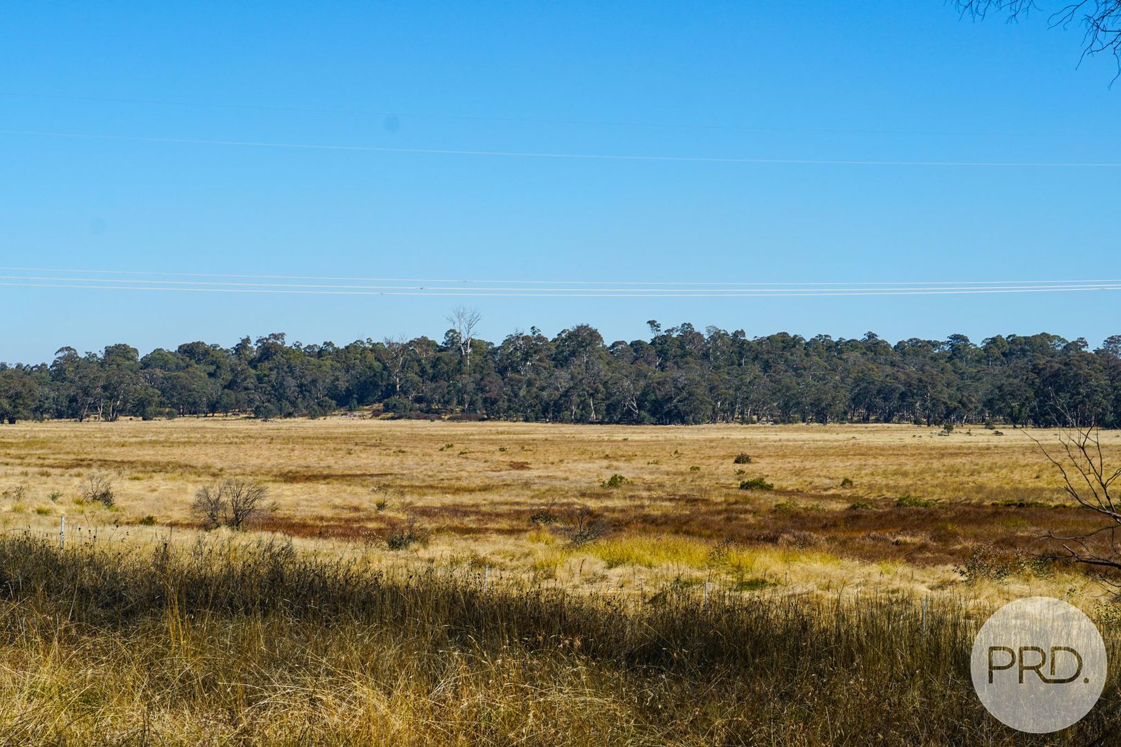 Lot 4 East Bago Powerline Road, Tumbarumba NSW 2653, Image 2