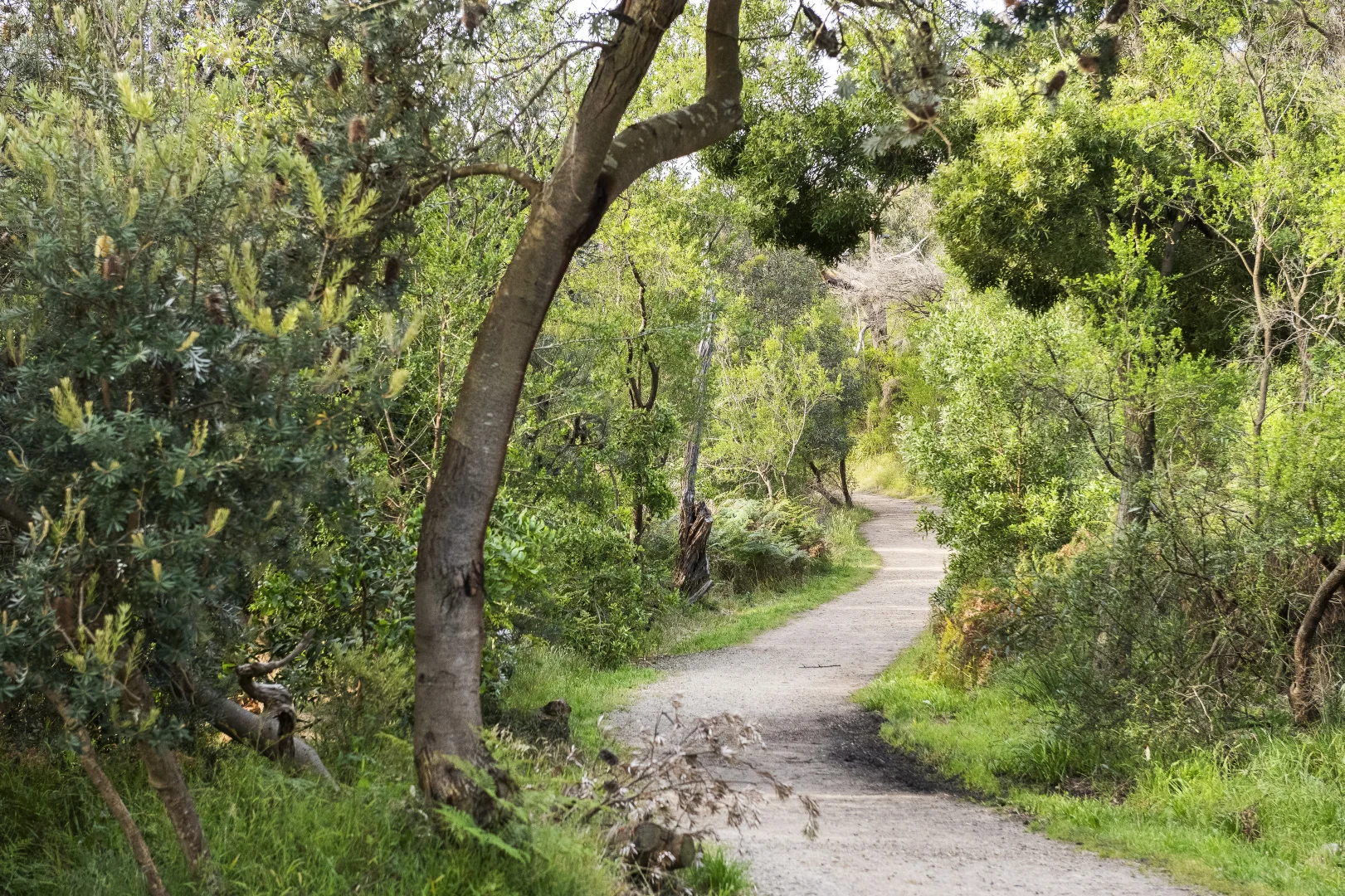 Additional image 20 of 34 Baden Powell Drive, Frankston South VIC 3199