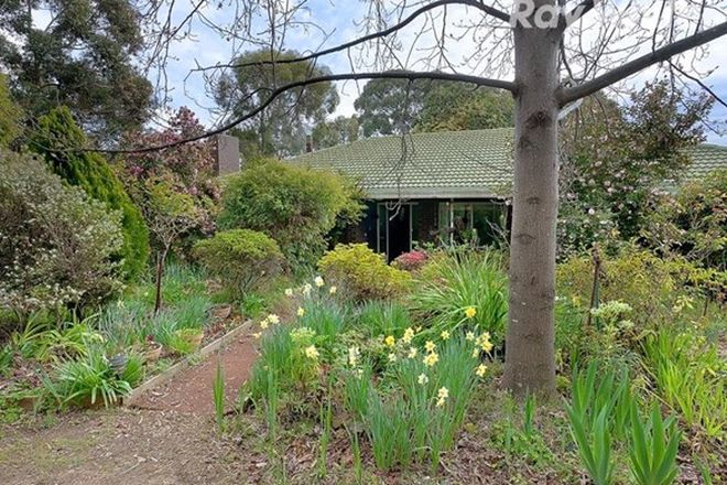 Picture of 133 Havelock Road, BEECHWORTH VIC 3747