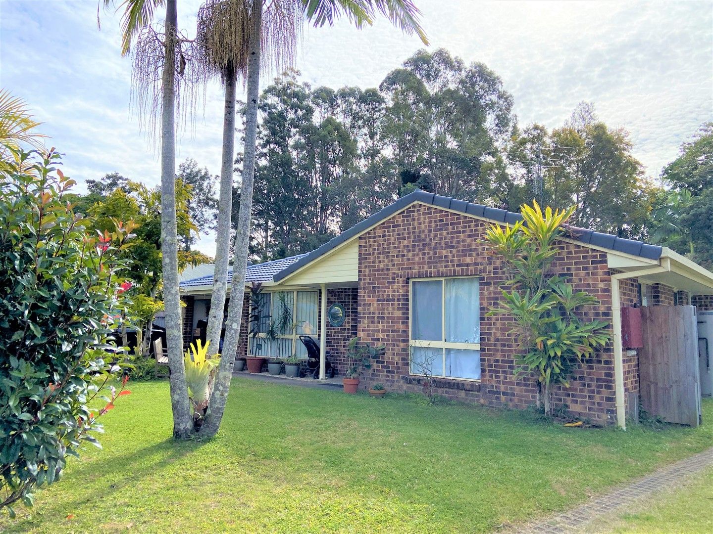 15 Rush Court Mullumbimby NSW 2482 House For Rent Domain