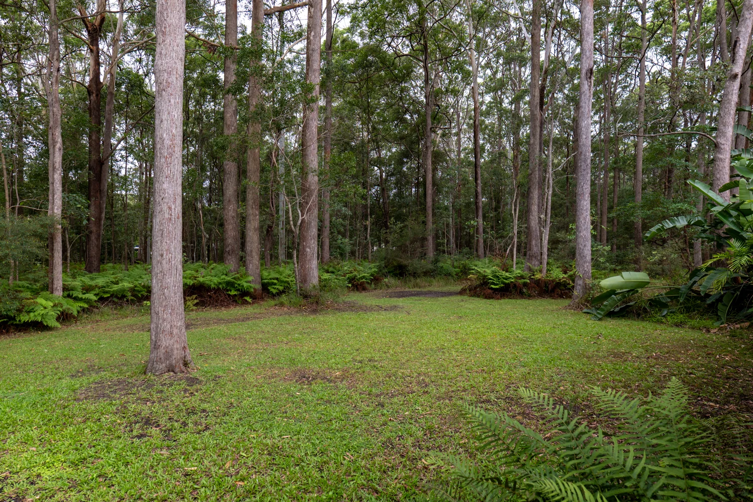 Additional image 17 of 59 Laxton Road, Palmview QLD 4553