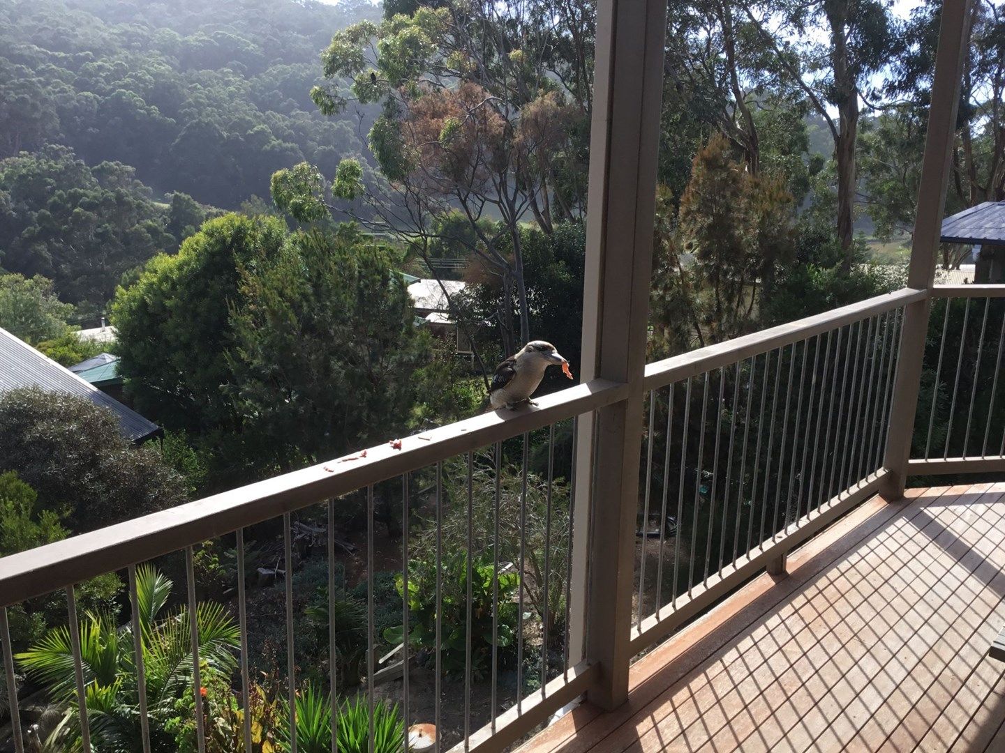 6 Cartra Crescent, River Property History & Address Research