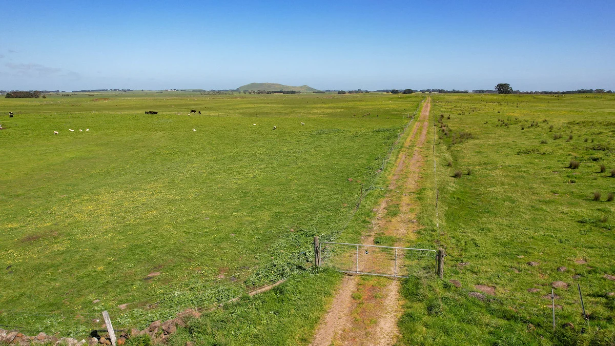 Additional image 39 of 170 Allans Road, Framlingham VIC 3265