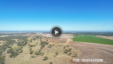 Picture of 1612 Pindaroi Road, INVERELL NSW 2360