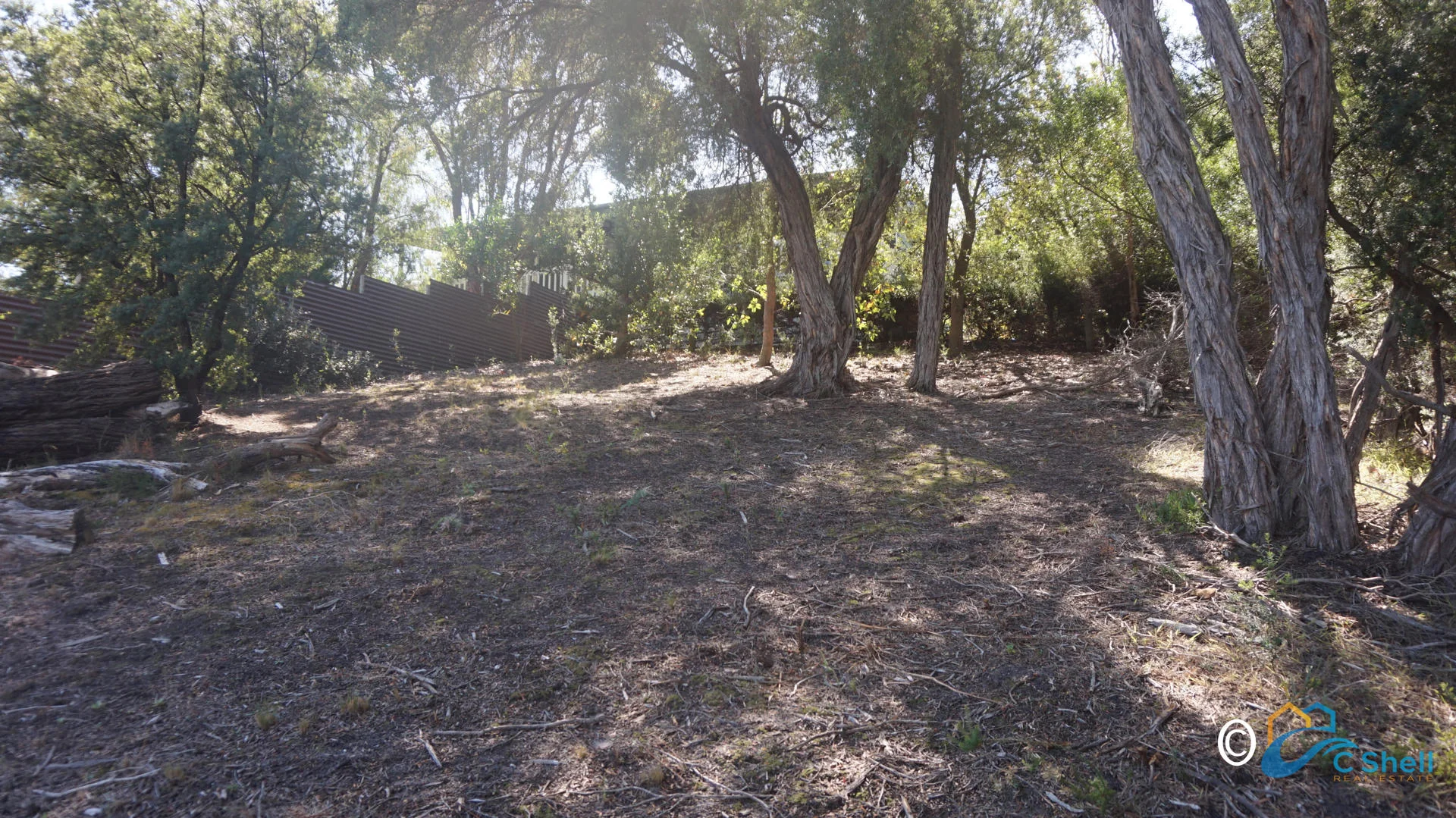 Image 9
