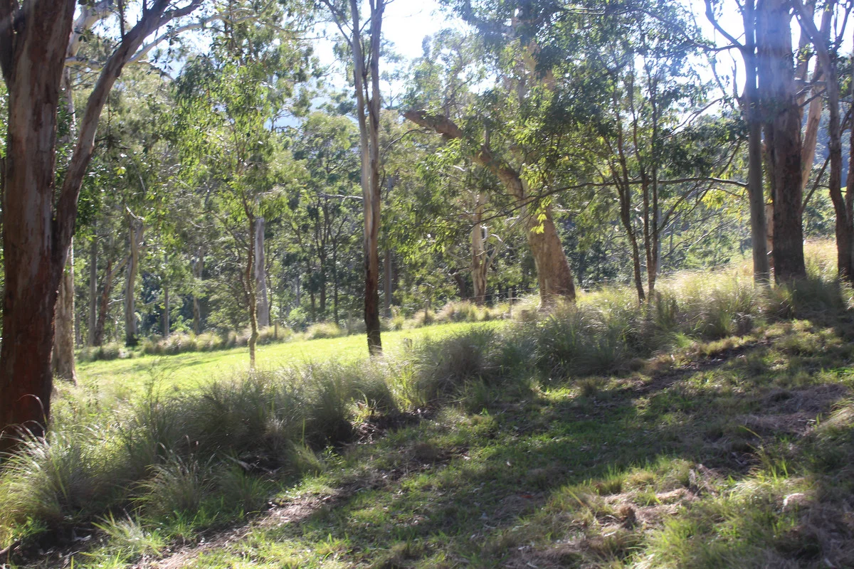Image 11