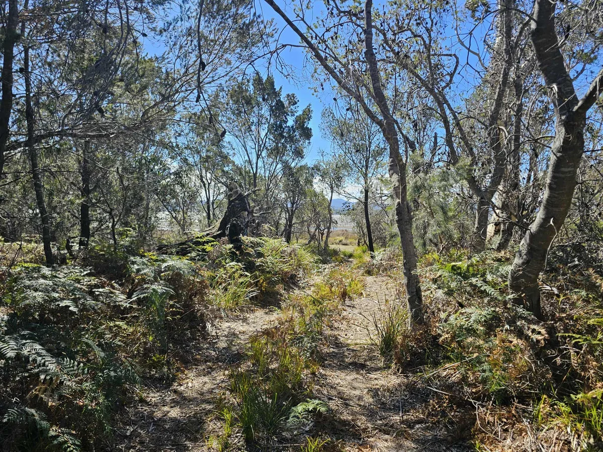 Image 14