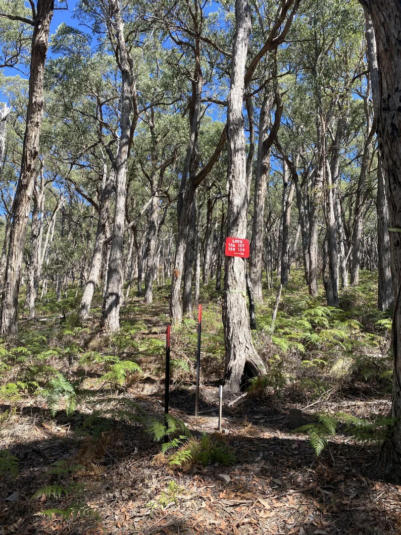 Additional image 5 of Lot 156-159 Prince of Wales Terrace, Riddells Creek VIC 3431