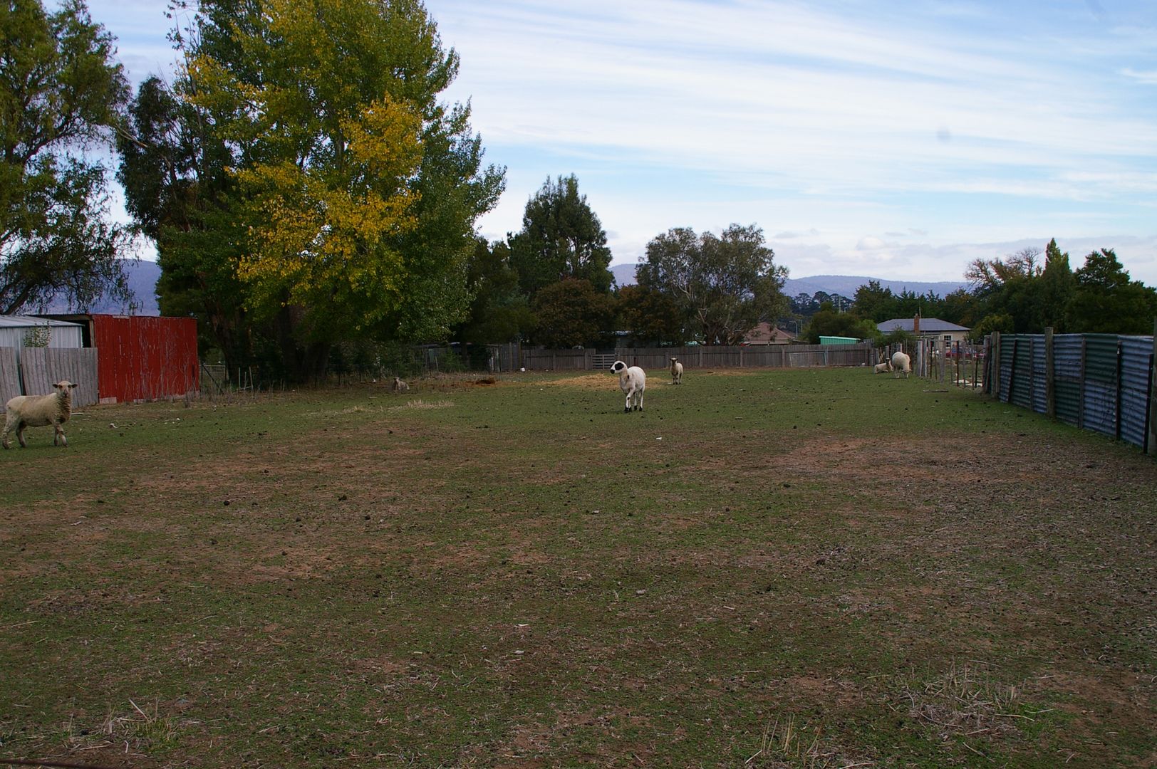 4 Gray Street, Avoca TAS 7213, Image 2