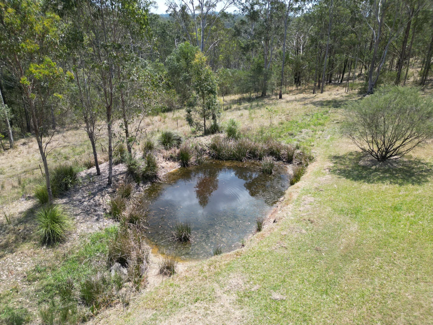 Image 26