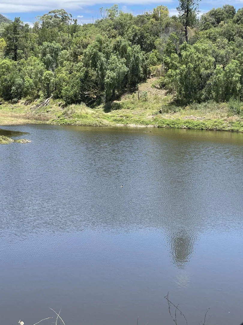 Image 14