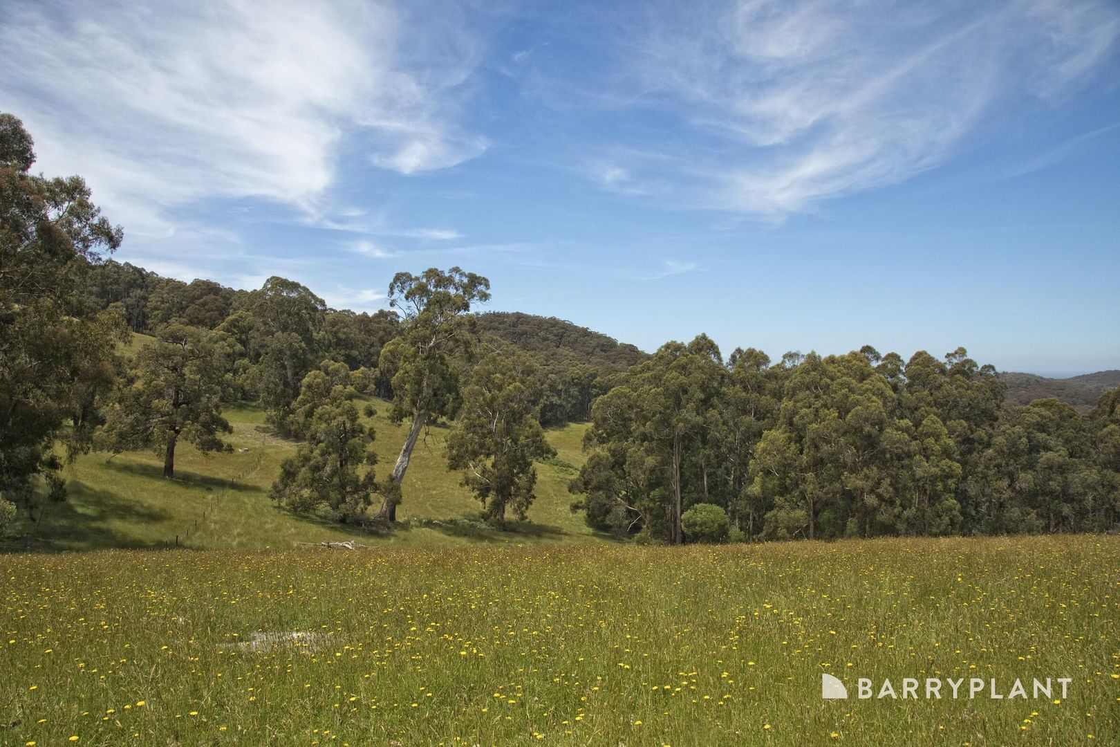 220 Mount Eirene Road, Gembrook VIC 3783, Image 1