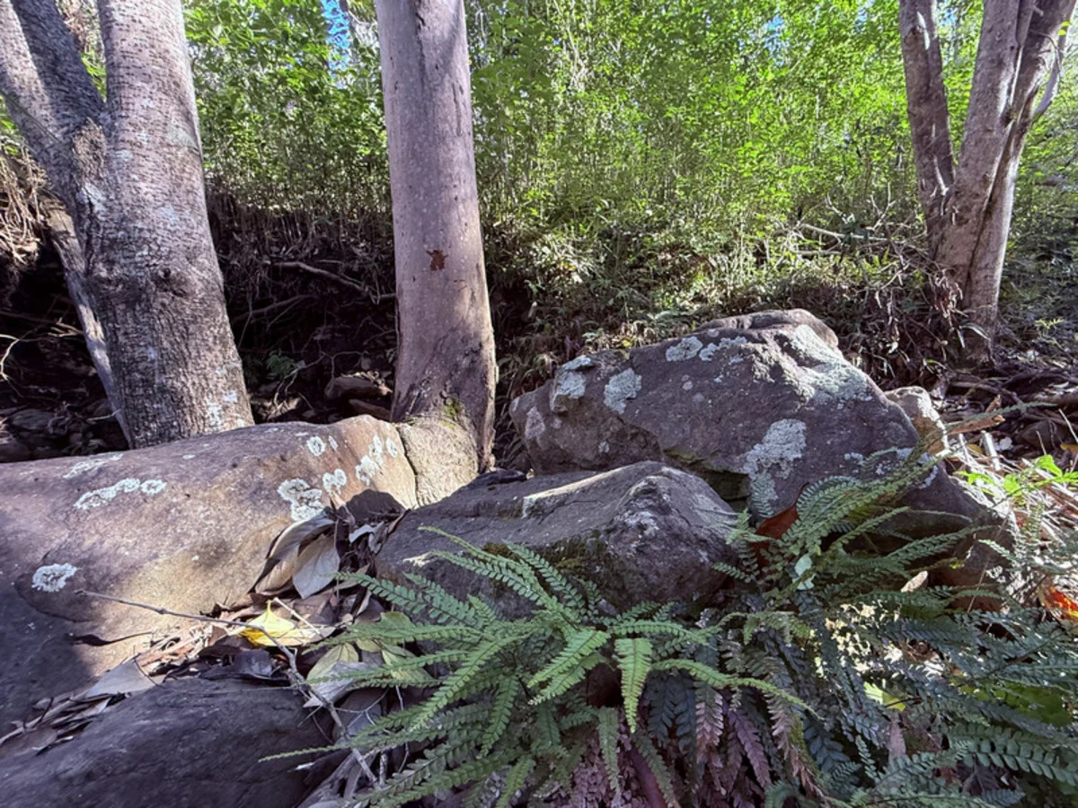 Image 14