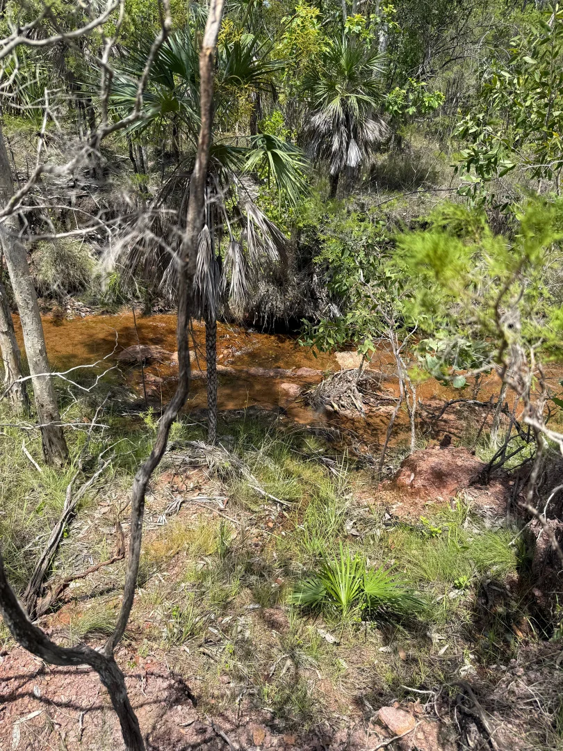 Image 7