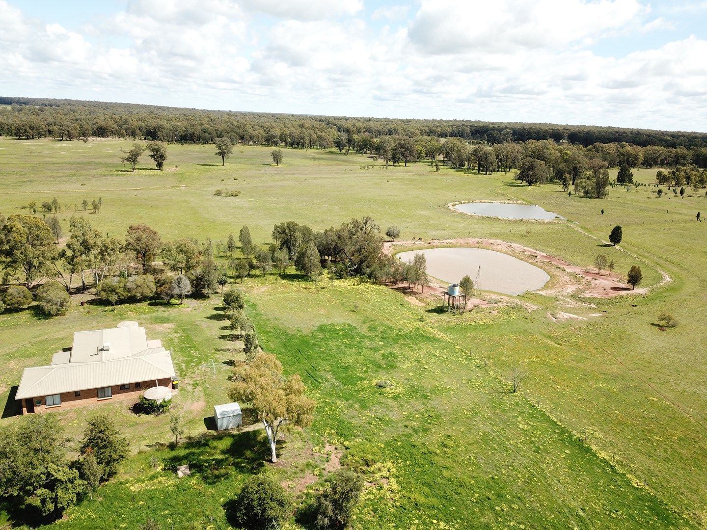 'Mirfield' 119L Mendooran Road, Dubbo NSW 2830, Image 0