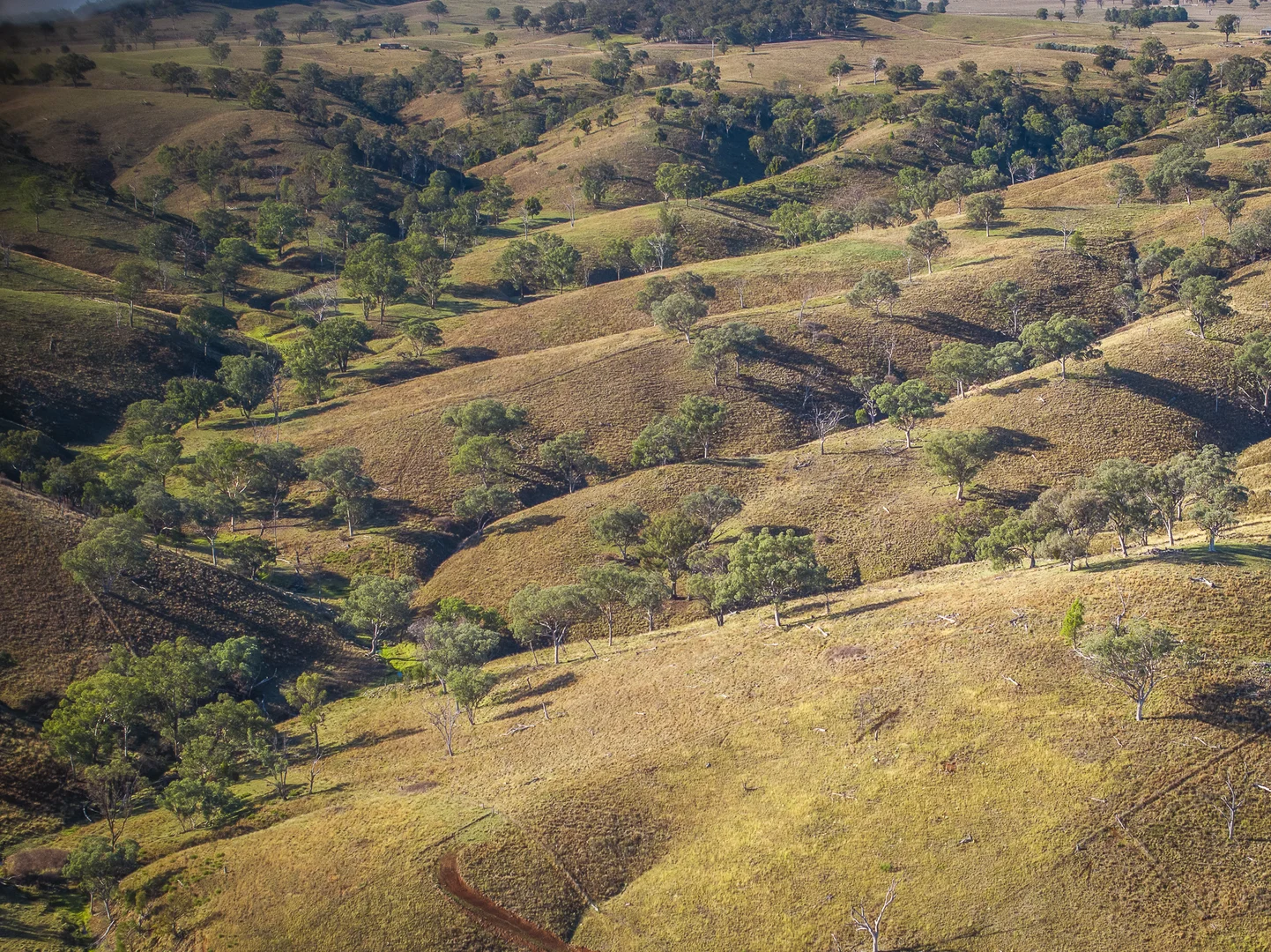 Additional image 13 of 'Coonara' Perrams Road, Ilford NSW 2850