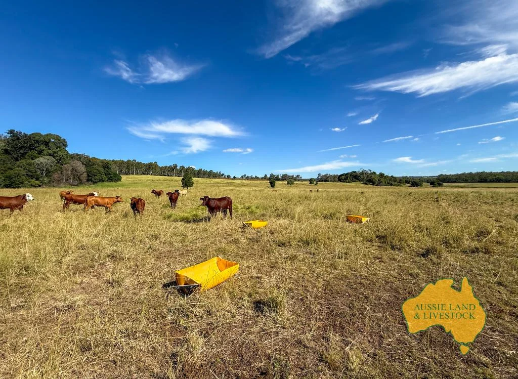 Additional image 60 of 268 Back Creek Road, Stalworth QLD 4613