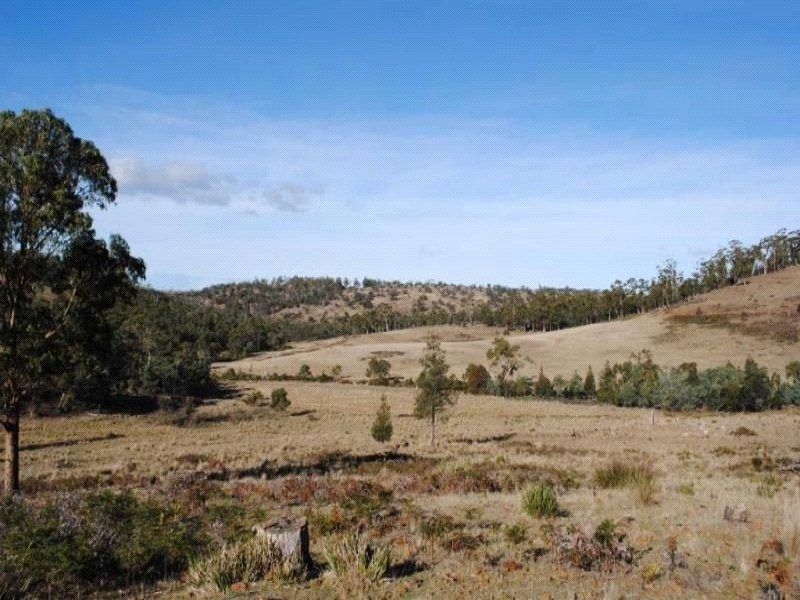 Lot 1 Triangle Marsh Road, Swansea TAS 7190, Image 2