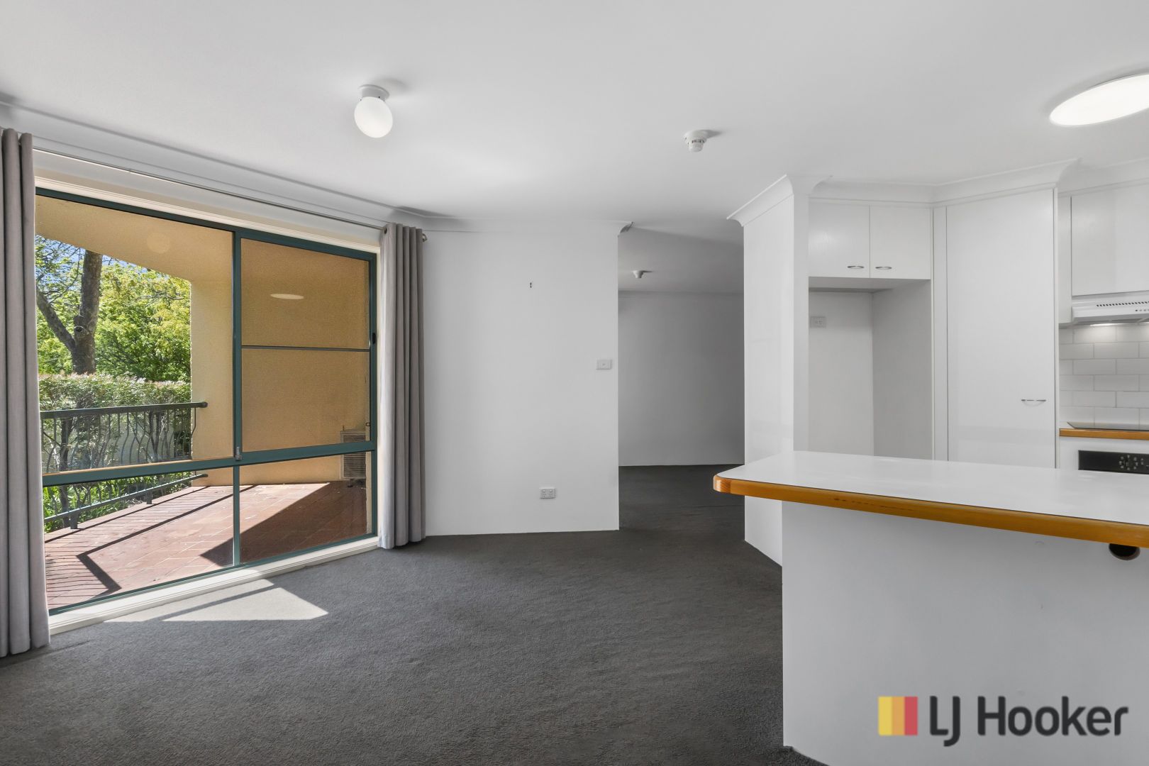 104/15 Jardine Street, Kingston ACT 2604 Apartment For Rent Domain