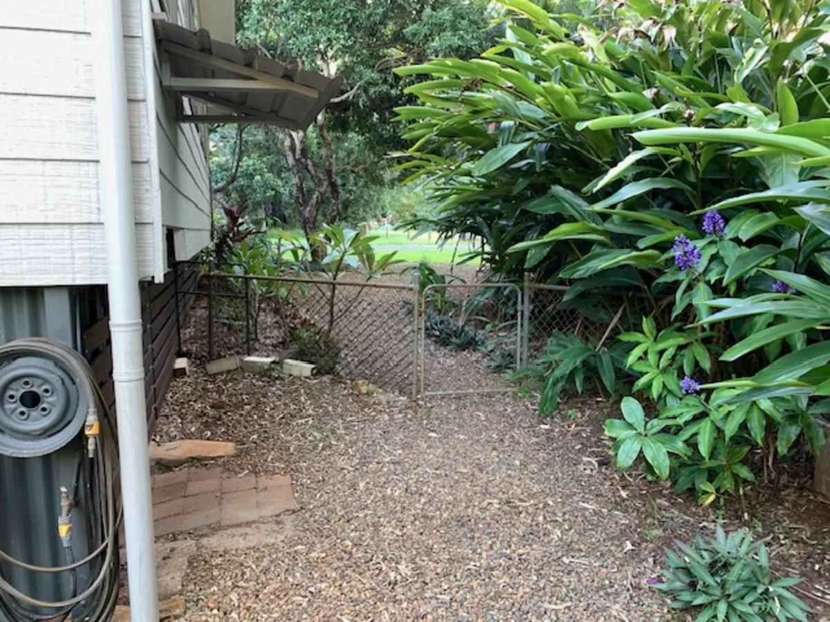 Image 16