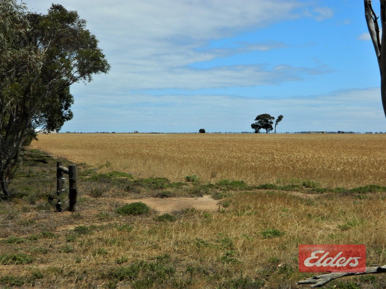 Lot 1903 Buckland Park Road, Two Wells SA 5501, Image 1