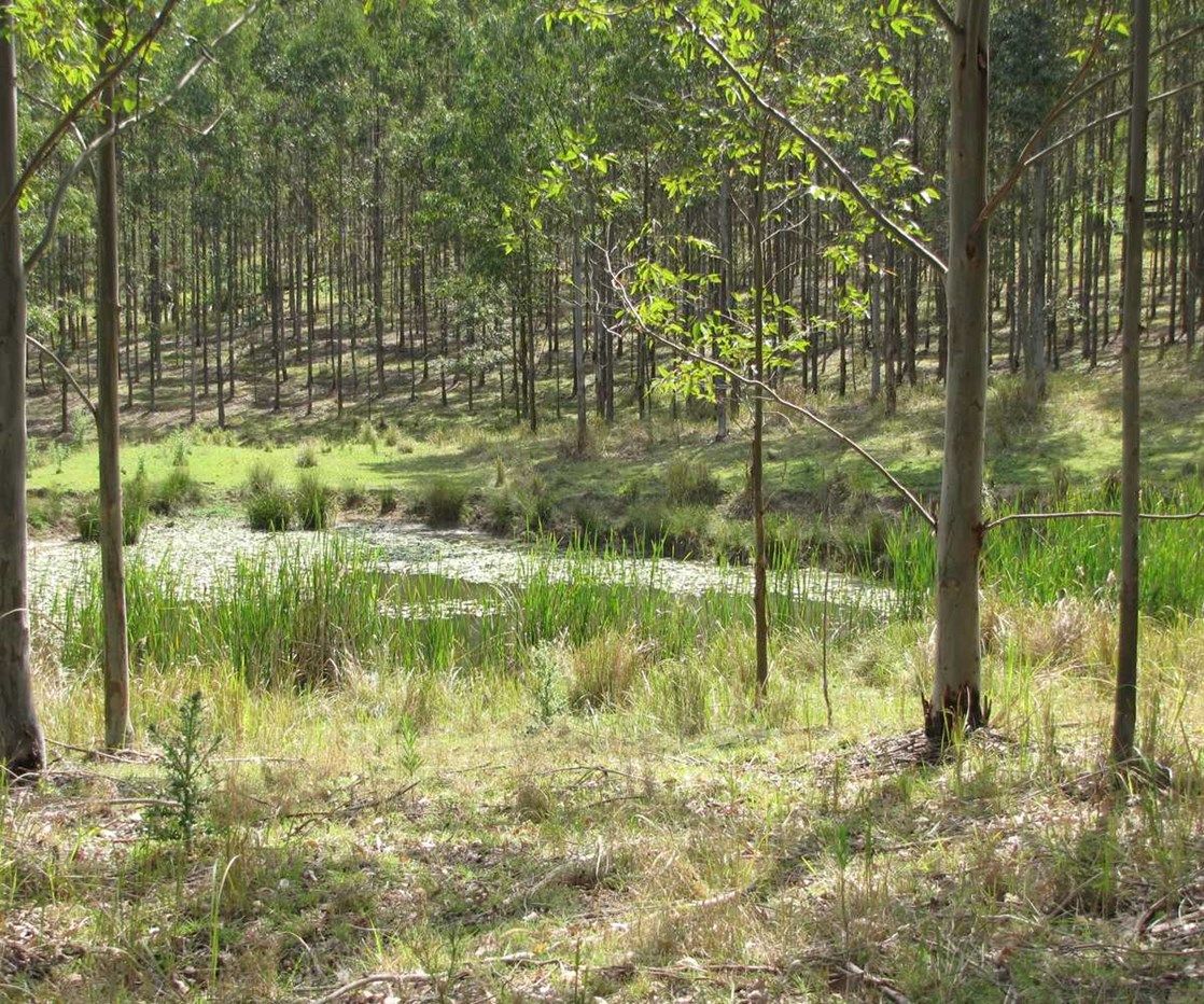 - Bonalbo Farm Woodworths Road, Bonalbo NSW 2469, Image 2