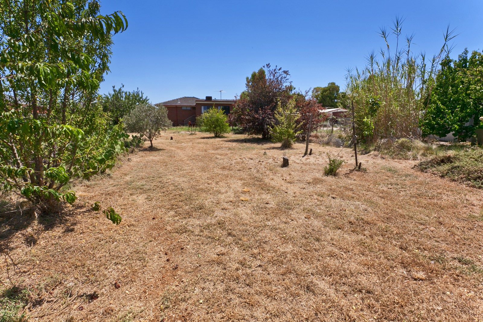 15 Crestmont Drive, Melton South VIC 3338, Image 2