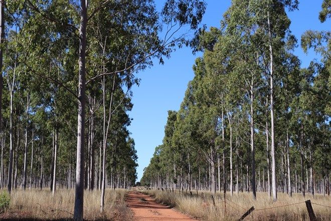Picture of Lot 26 Mundubbera-Durong Road, BOONDOOMA QLD 4613