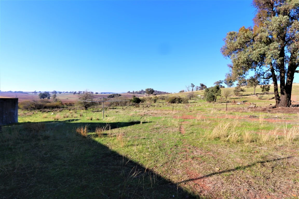 Additional image 14 of 2453 Old Cootamundra Road, Temora NSW 2666