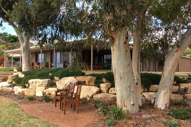 Picture of 11 LUTHER ROAD, LOXTON SA 5333