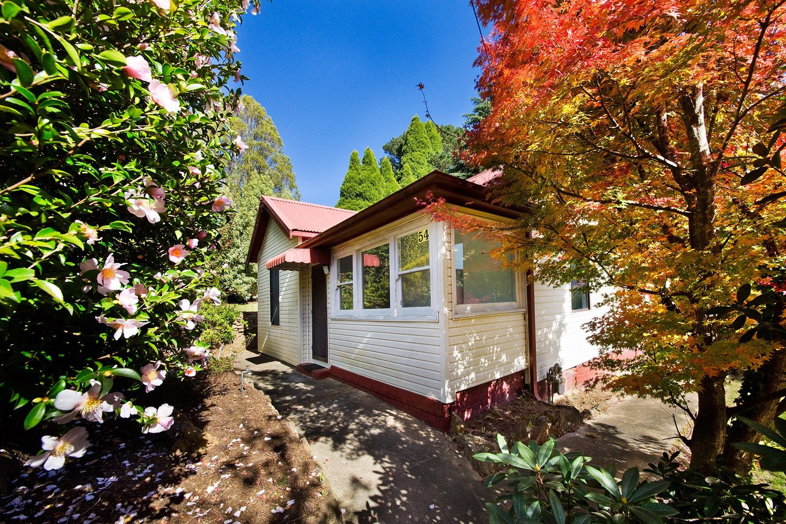 54 Mort Street, Katoomba NSW 2780, Image 0