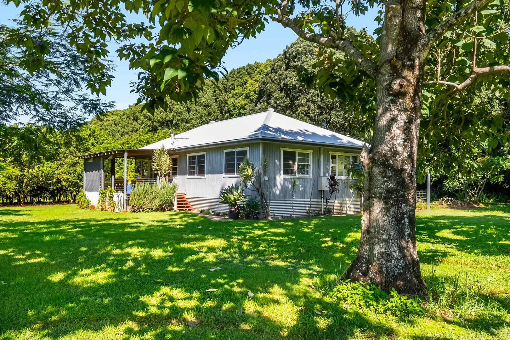 250 Dalwood Road, Dalwood NSW 2477