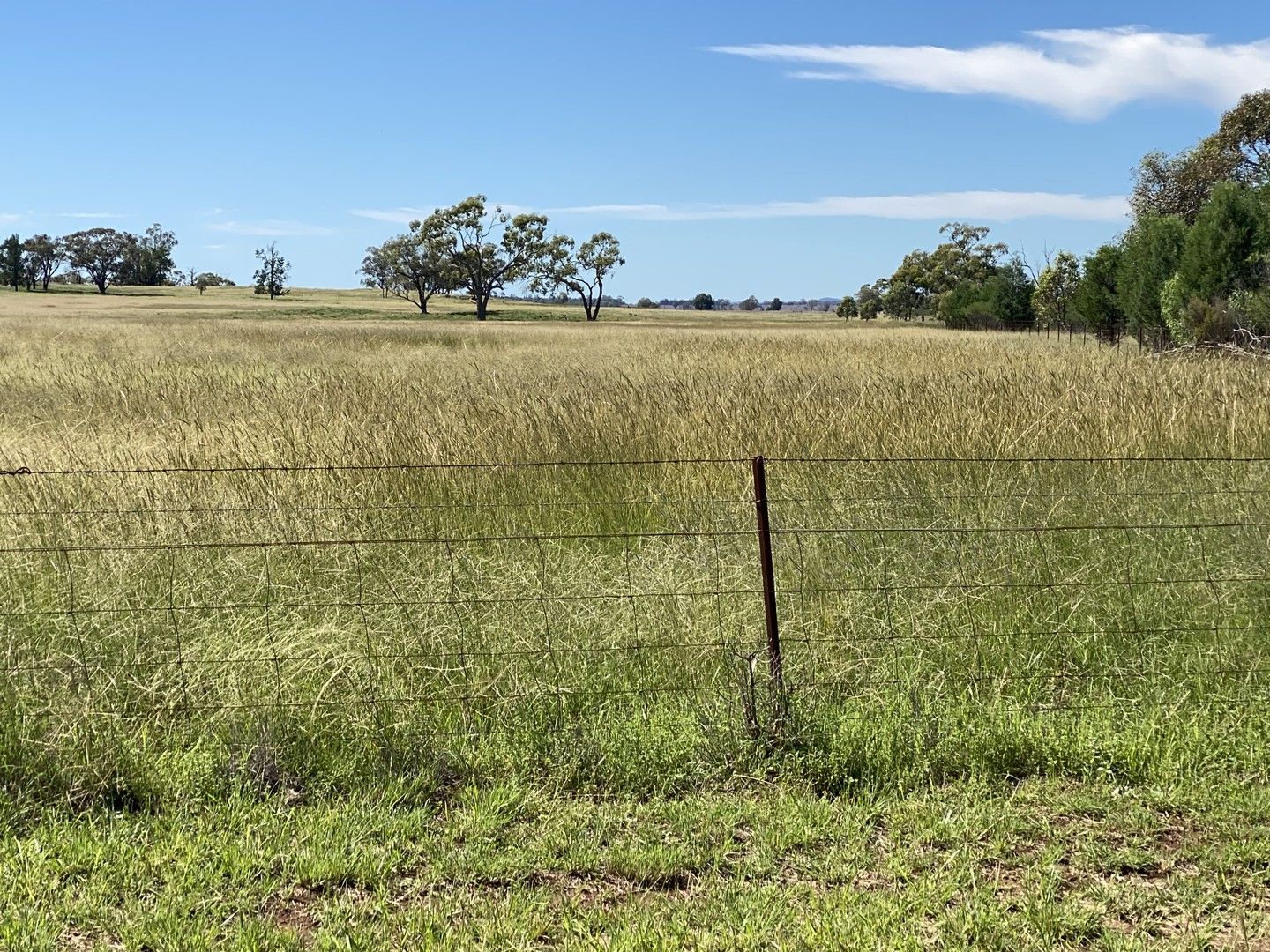 8308 The Bogan Way, Trundle NSW 2875, Image 0