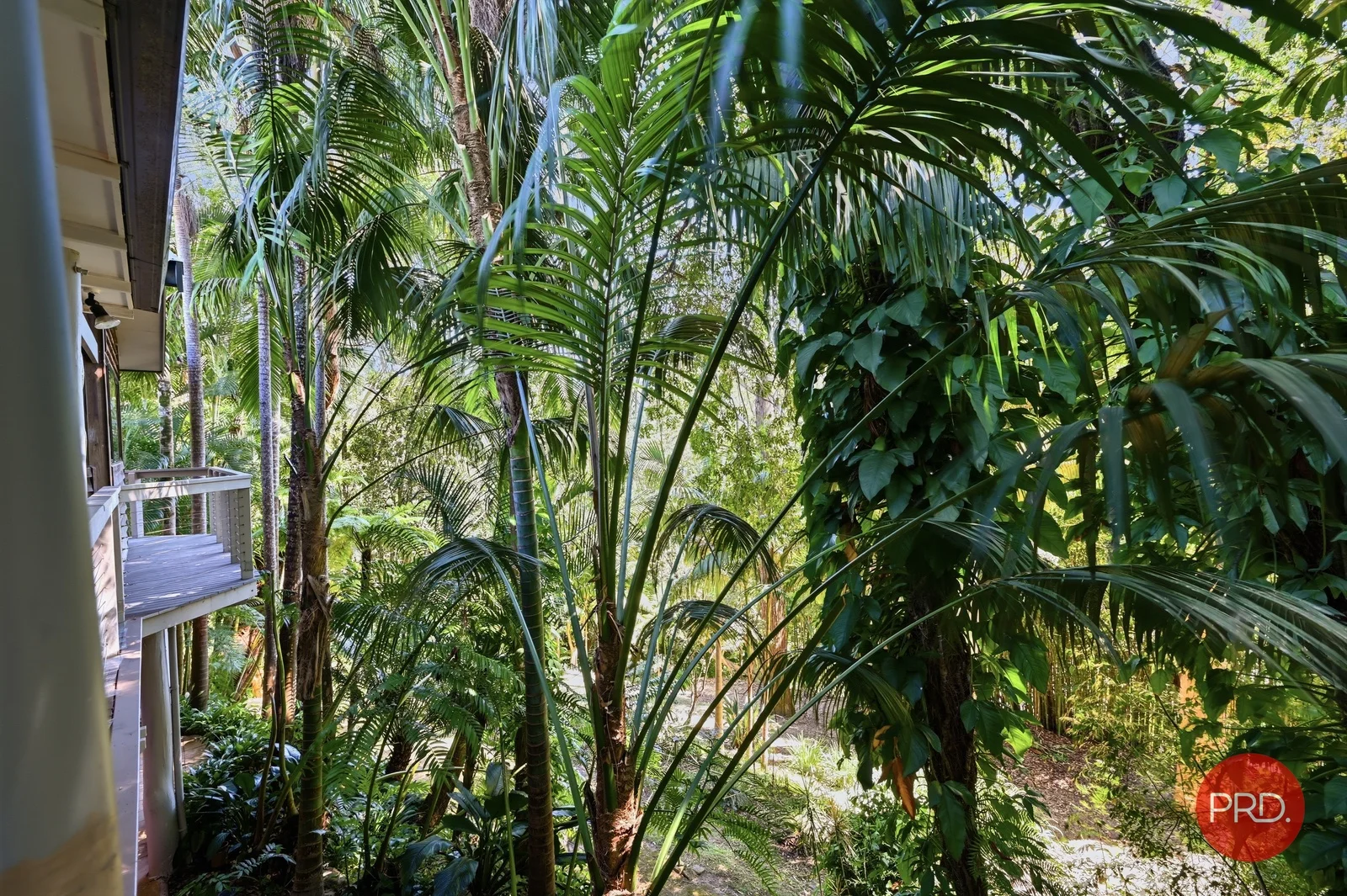 Additional image 30 of 10 Woodward St North, Repton NSW 2454