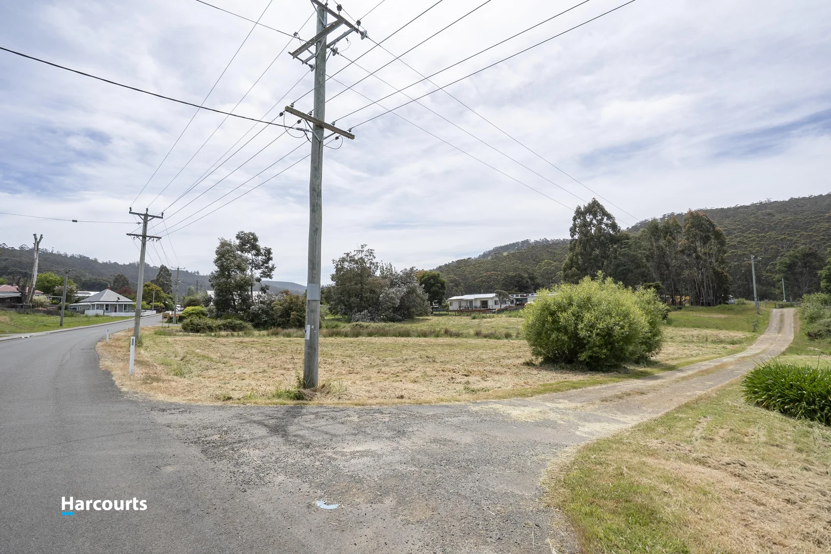 Image 14