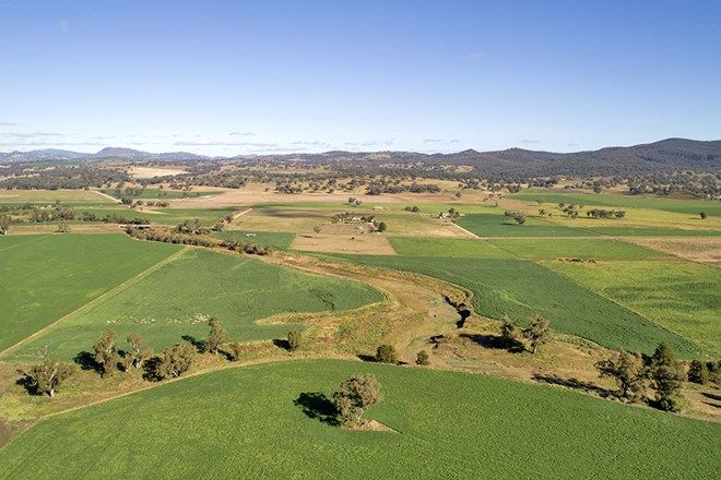 Picture of "Spring Vale" 683 Wallabadah Rd, QUIRINDI NSW 2343