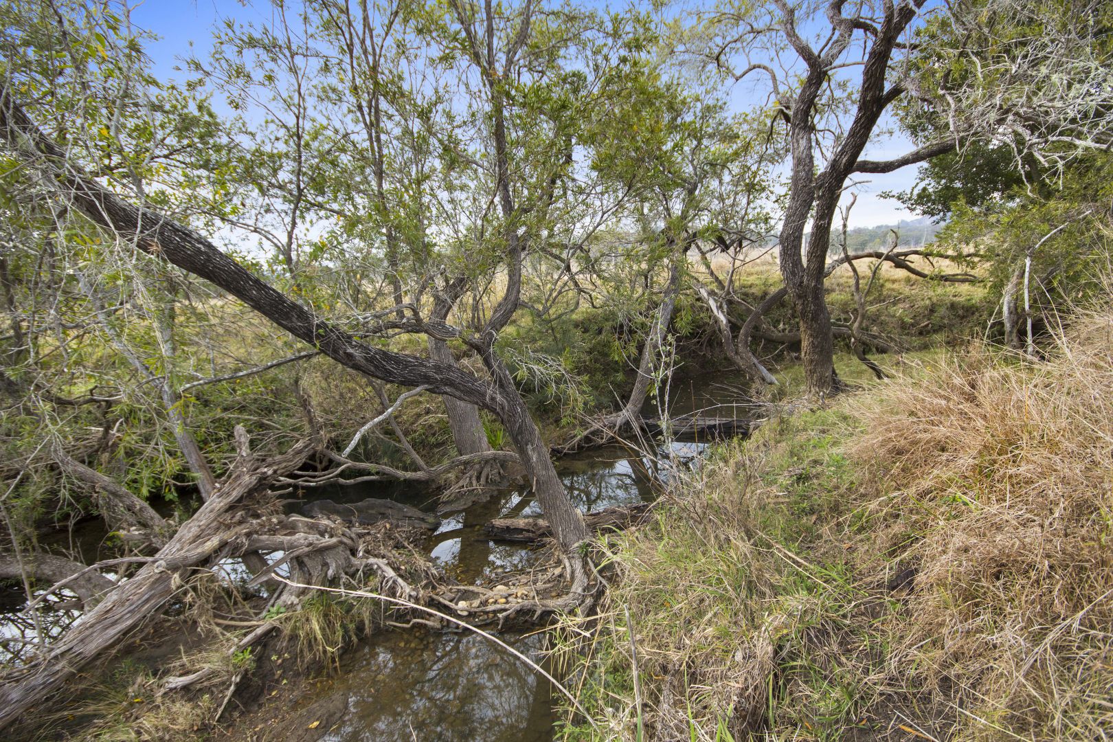 111 Dwyer Ridges Road, Mount Alford QLD 4310, Image 1