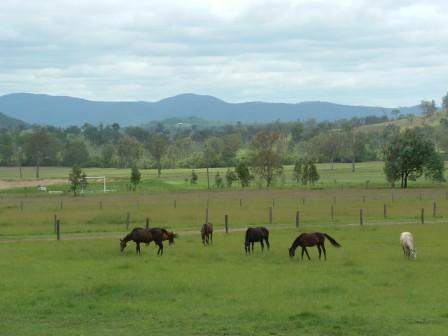 5613 Brisbane Valley Highway, Esk QLD 4312