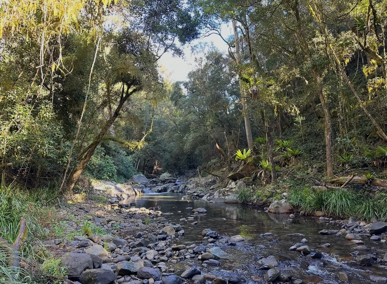 Image 11