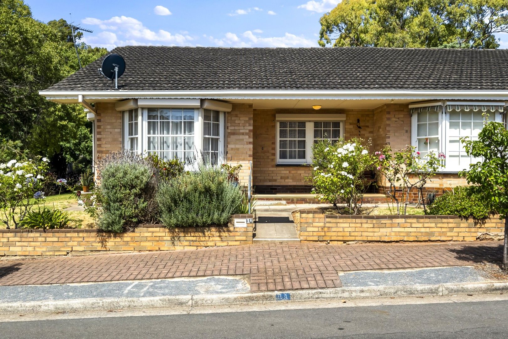 1A Collyer Court, Linden Park SA 5065, Image 0