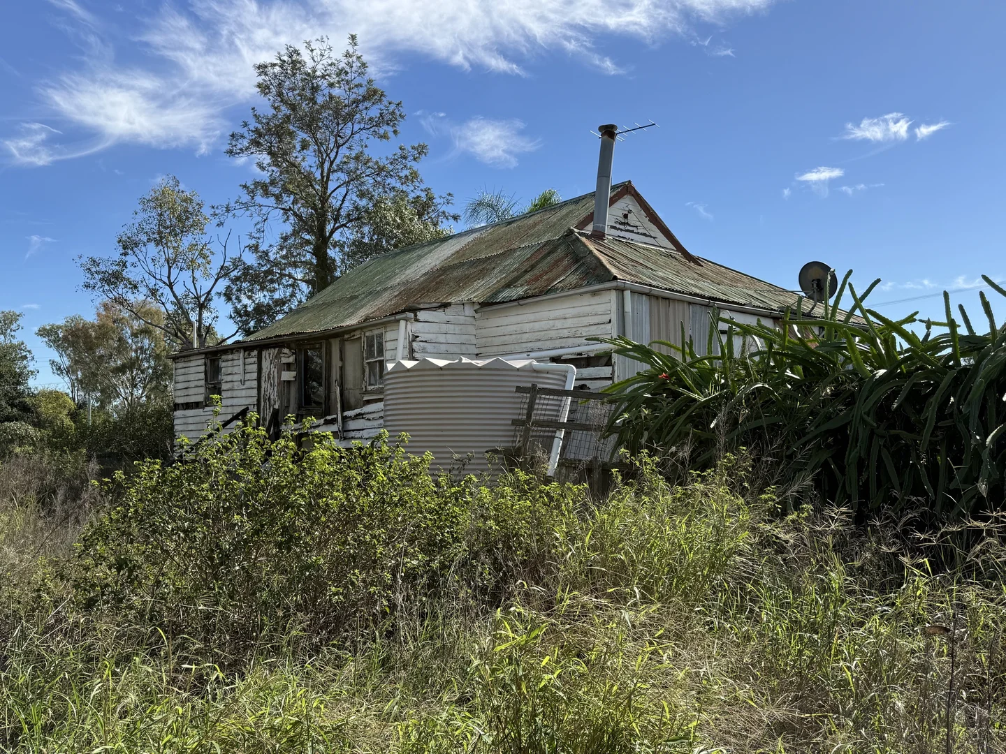 Image 14