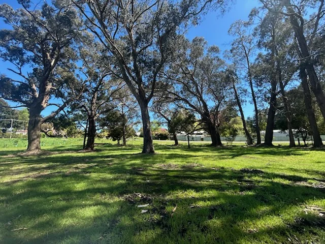 Image 11