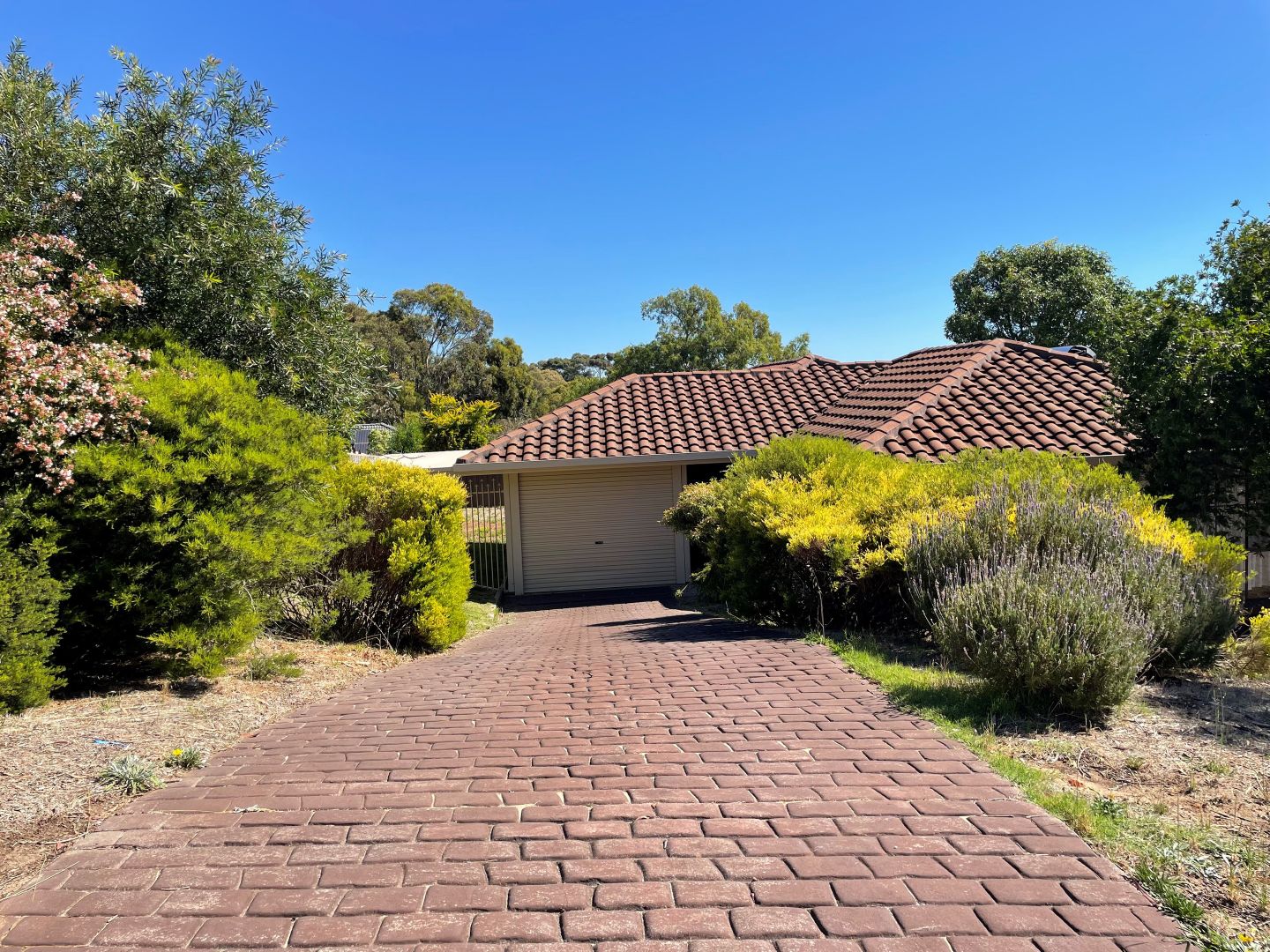 12 Ridgefield Close, Aberfoyle Park SA 5159 House For Rent 520