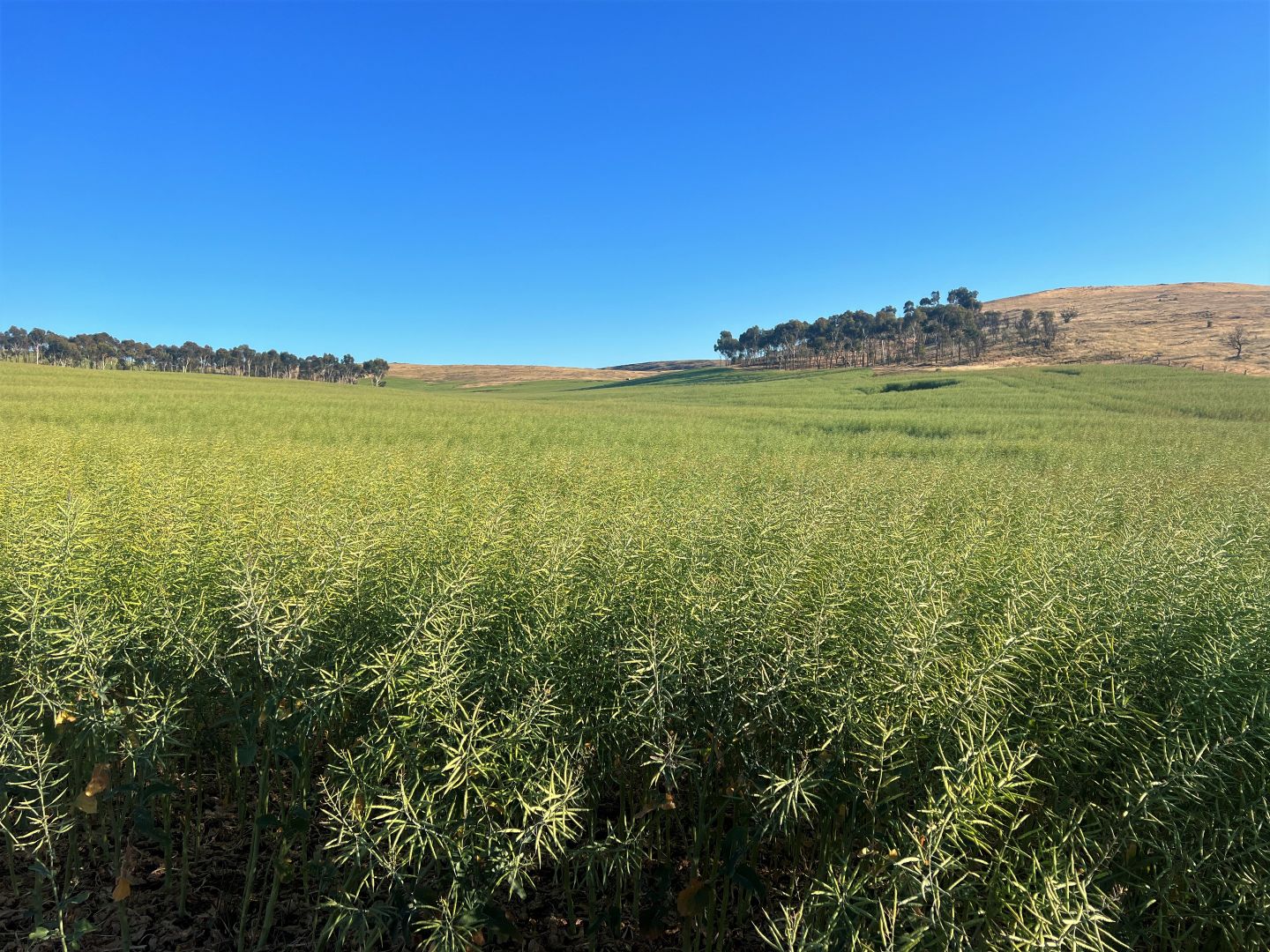 Lot 2 Gap Road, Milendella SA 5237, Image 1