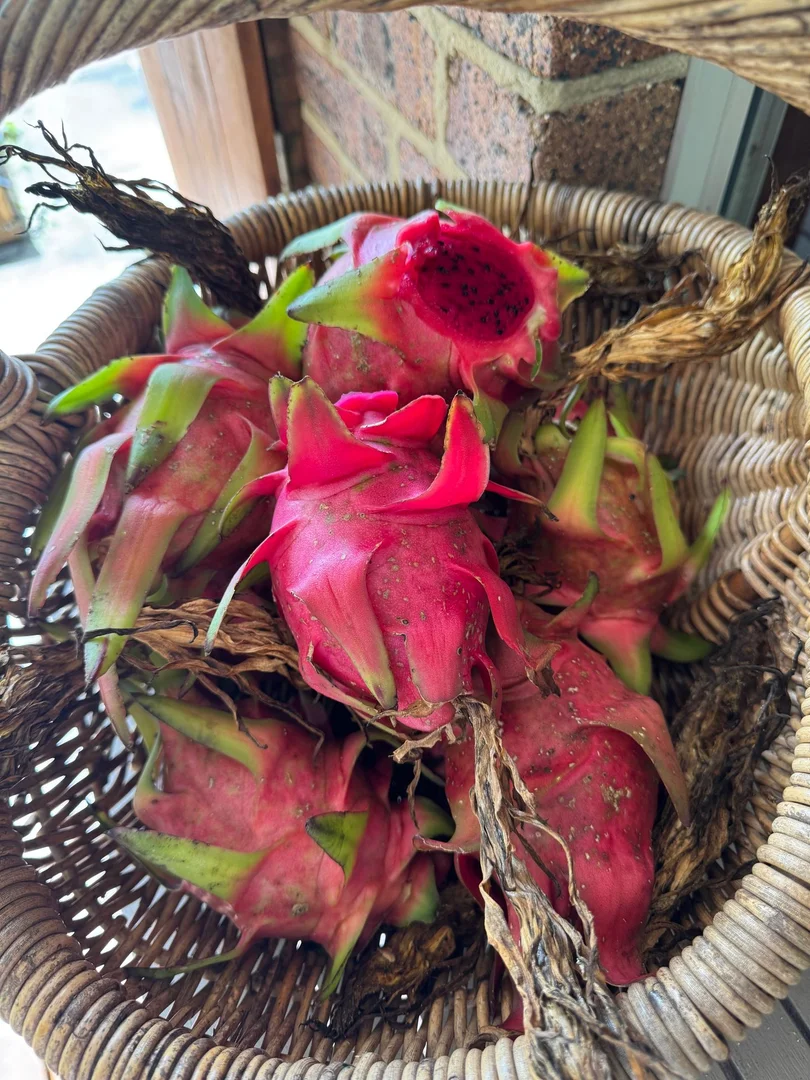 Additional image 20 of 262 Kangaroo Gully Rd, Bellbowrie QLD 4070