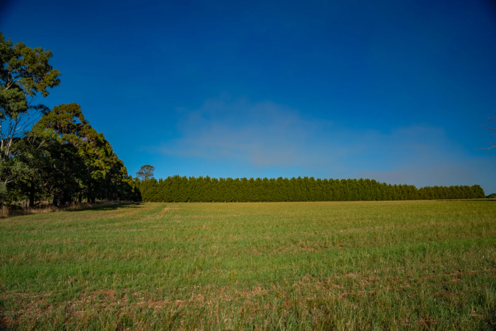 Additional image 15 of 180 Sharpes Road, Miners Rest VIC 3352