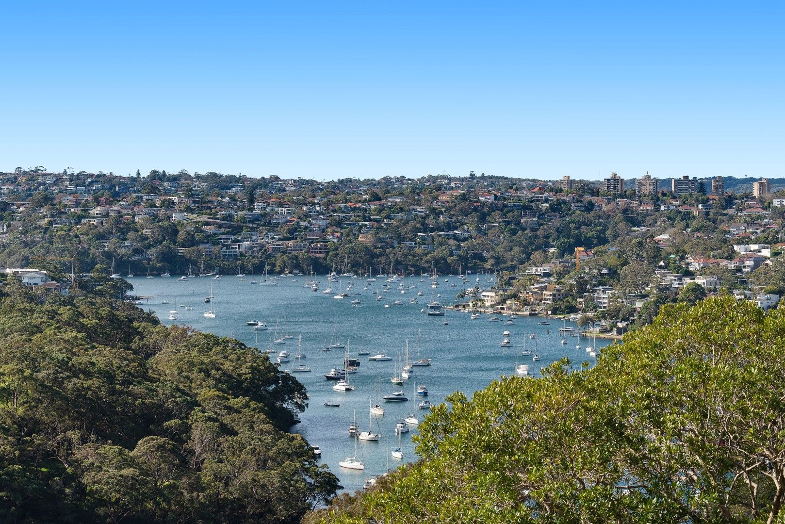 1 bedrooms Apartment / Unit / Flat in 14/74 Cairo Street CAMMERAY NSW, 2062