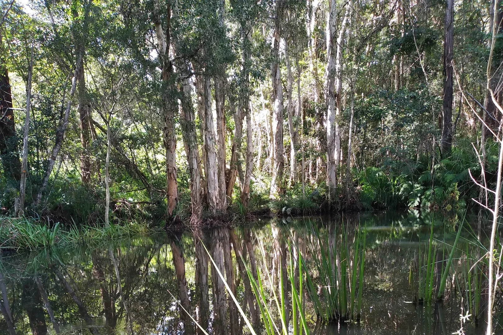 Image 7